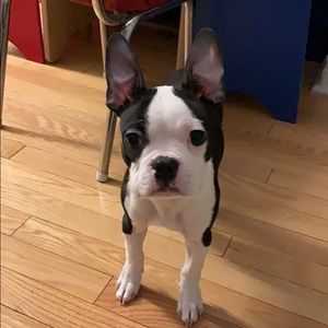 Meet your Posher, Marg